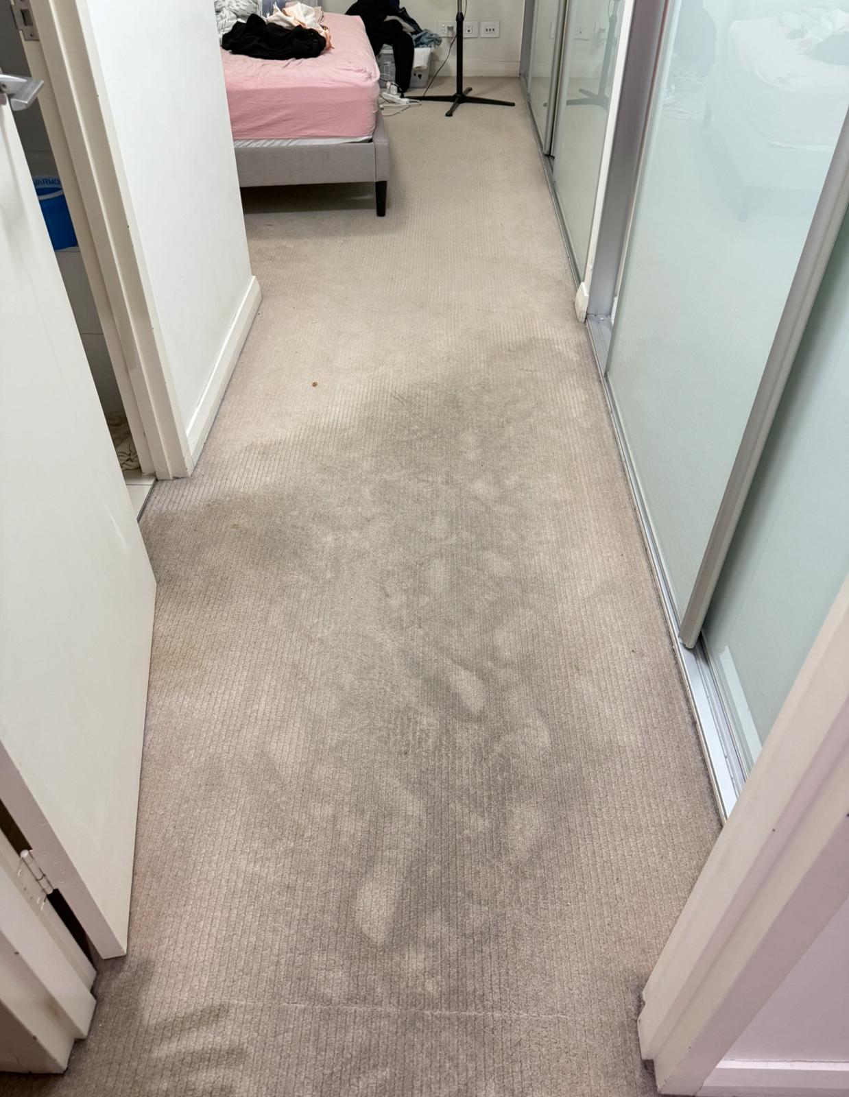 Before Builder Handover Plaster Dust Extraction