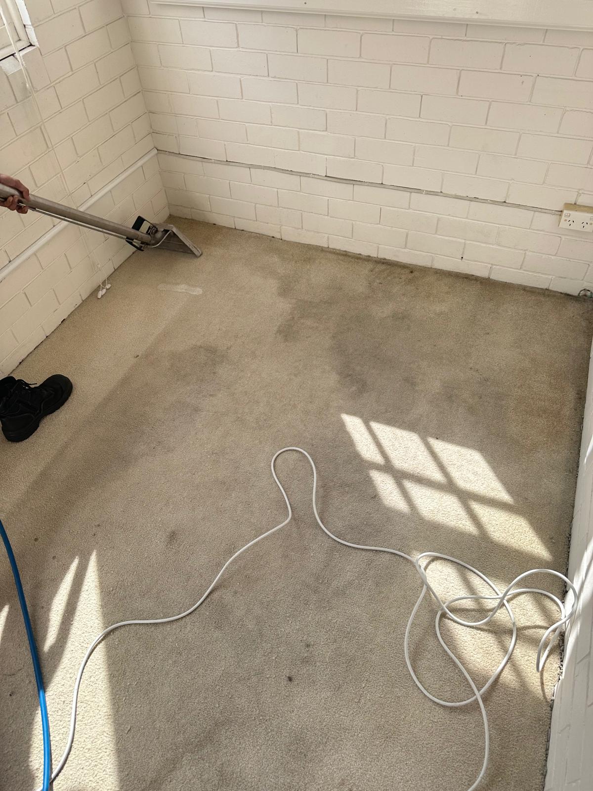 Before High-Traffic Bedroom Carpet Transformation