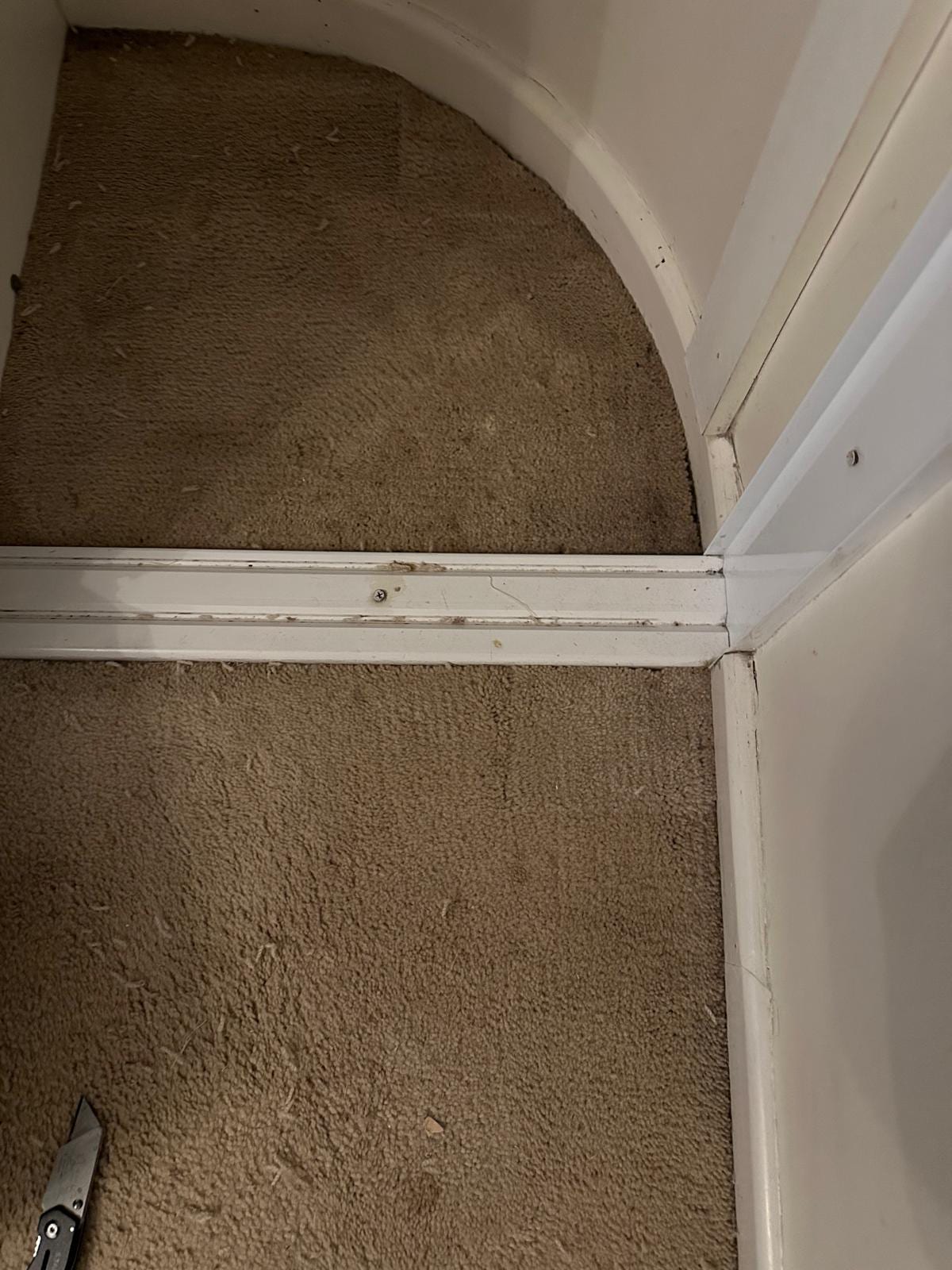 After Corner & Doorway Pet Tear Patch