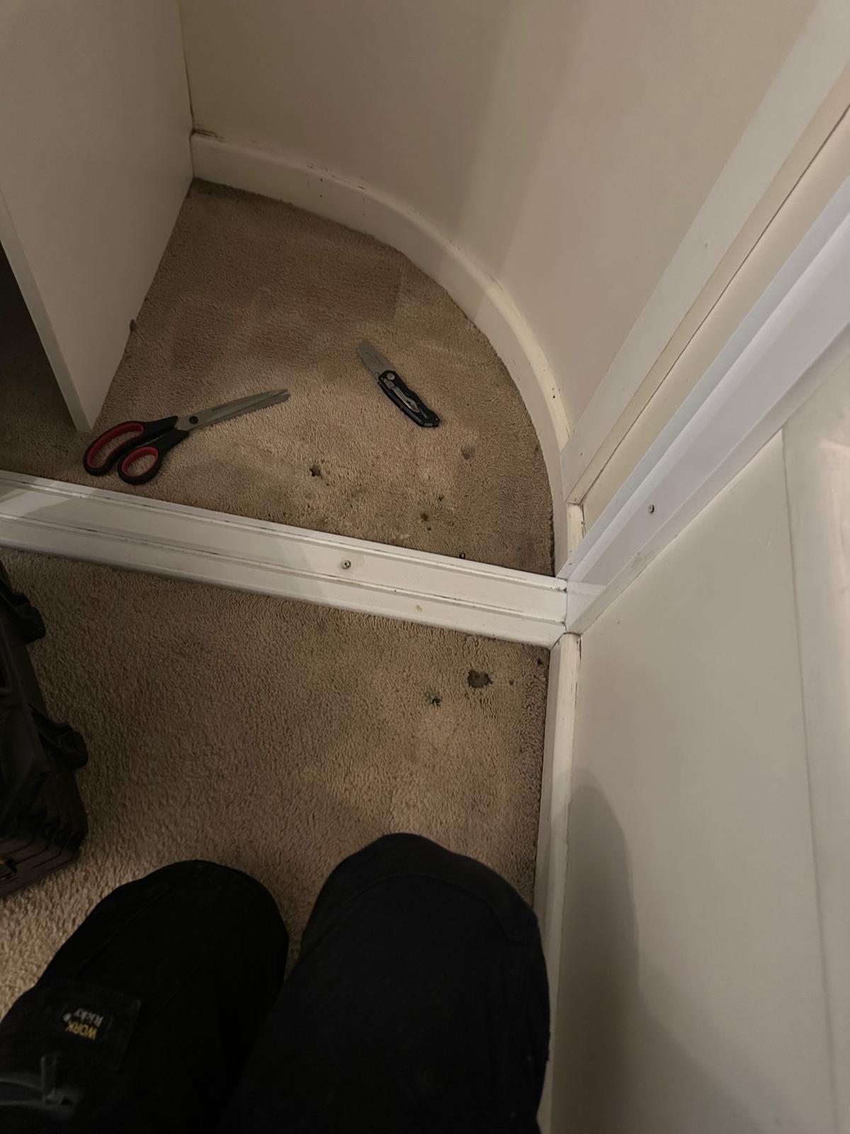 Before Corner & Doorway Pet Tear Patch