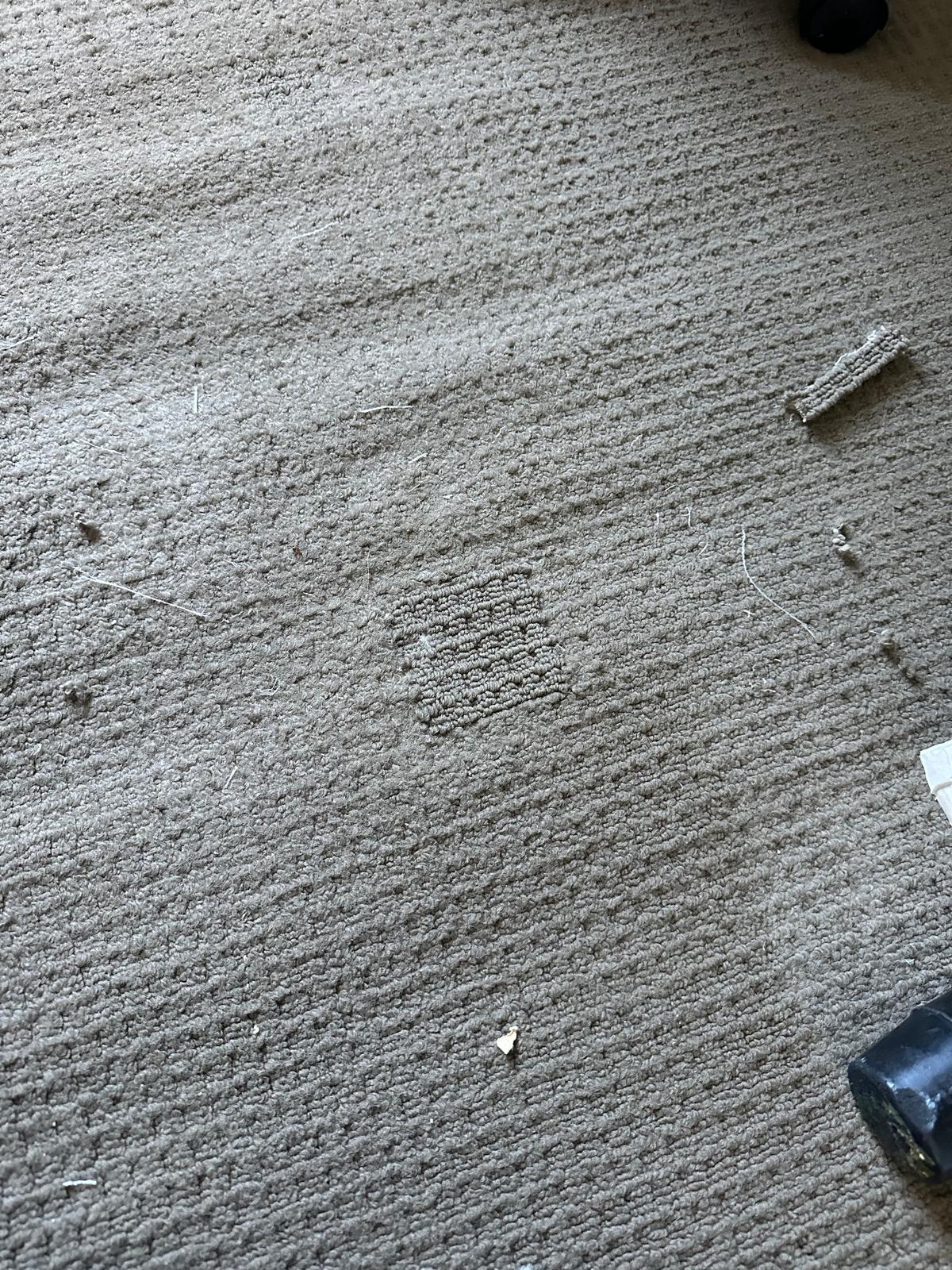 Before Carpet Iron Burn Donor Patching