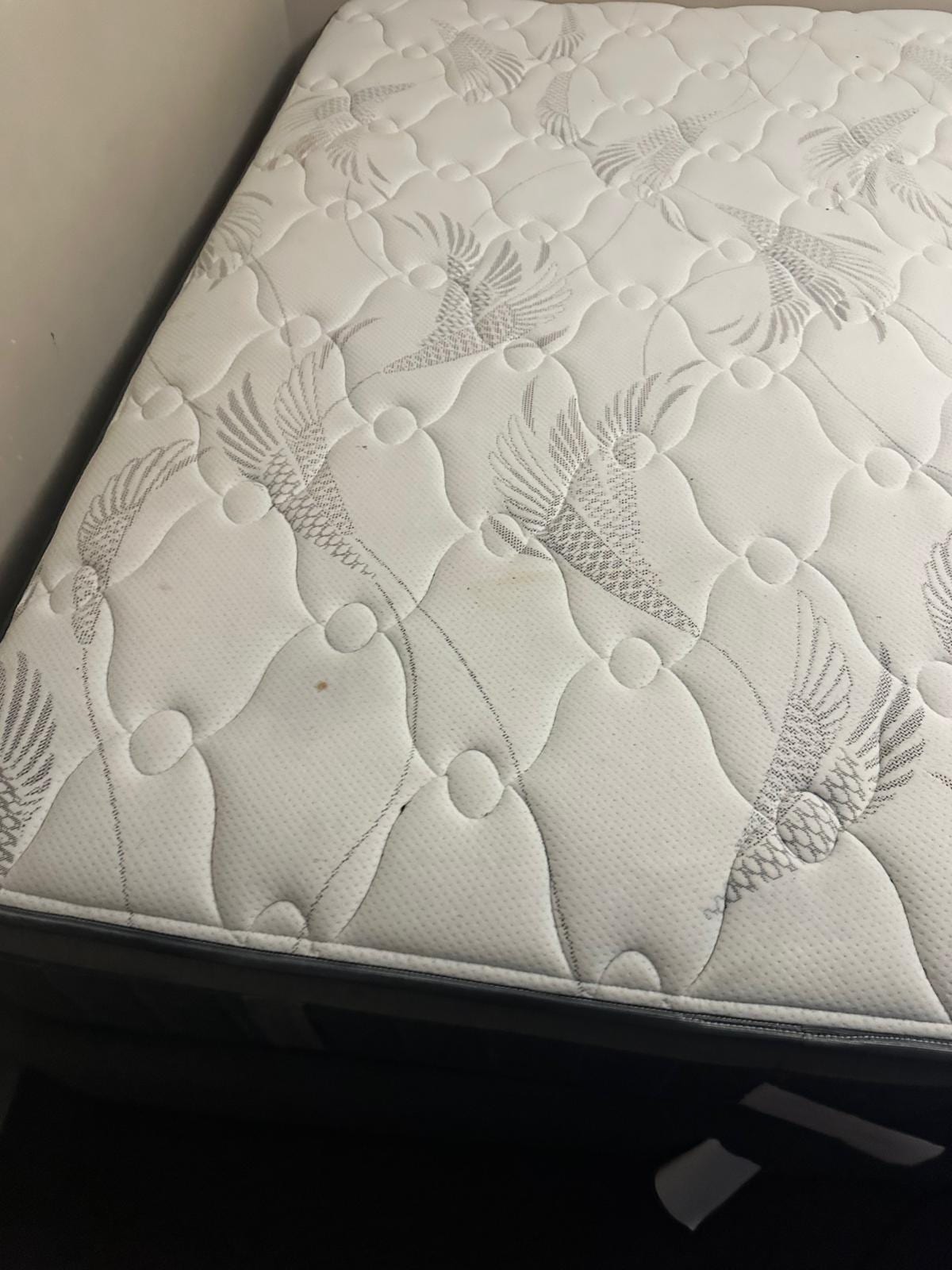 Before Mattress Dust Mite & Allergen Extraction