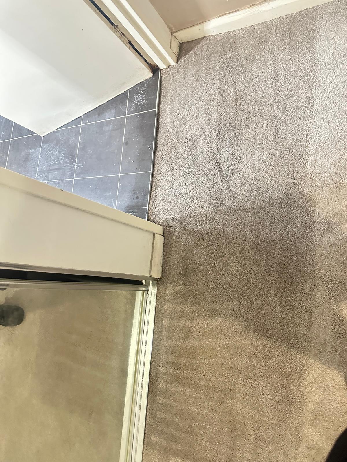Stubborn Spot Elimination