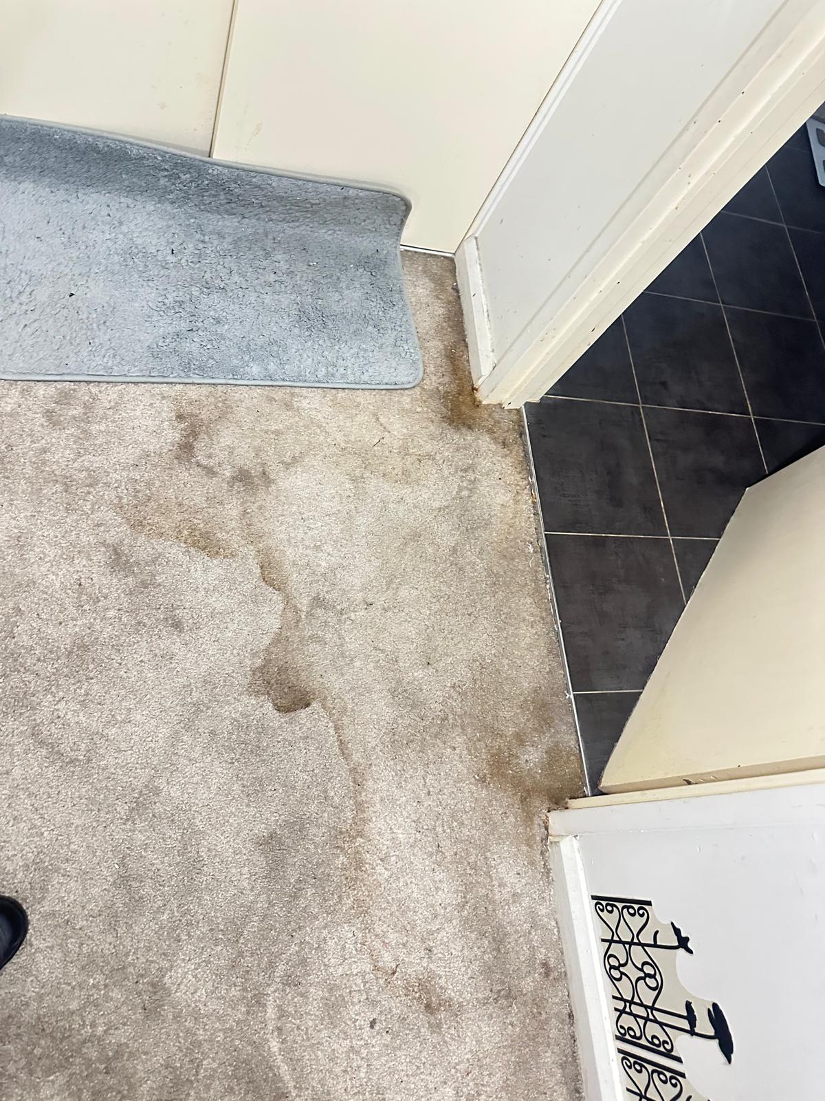 Before Stained Tenancy Carpet Handover Clean